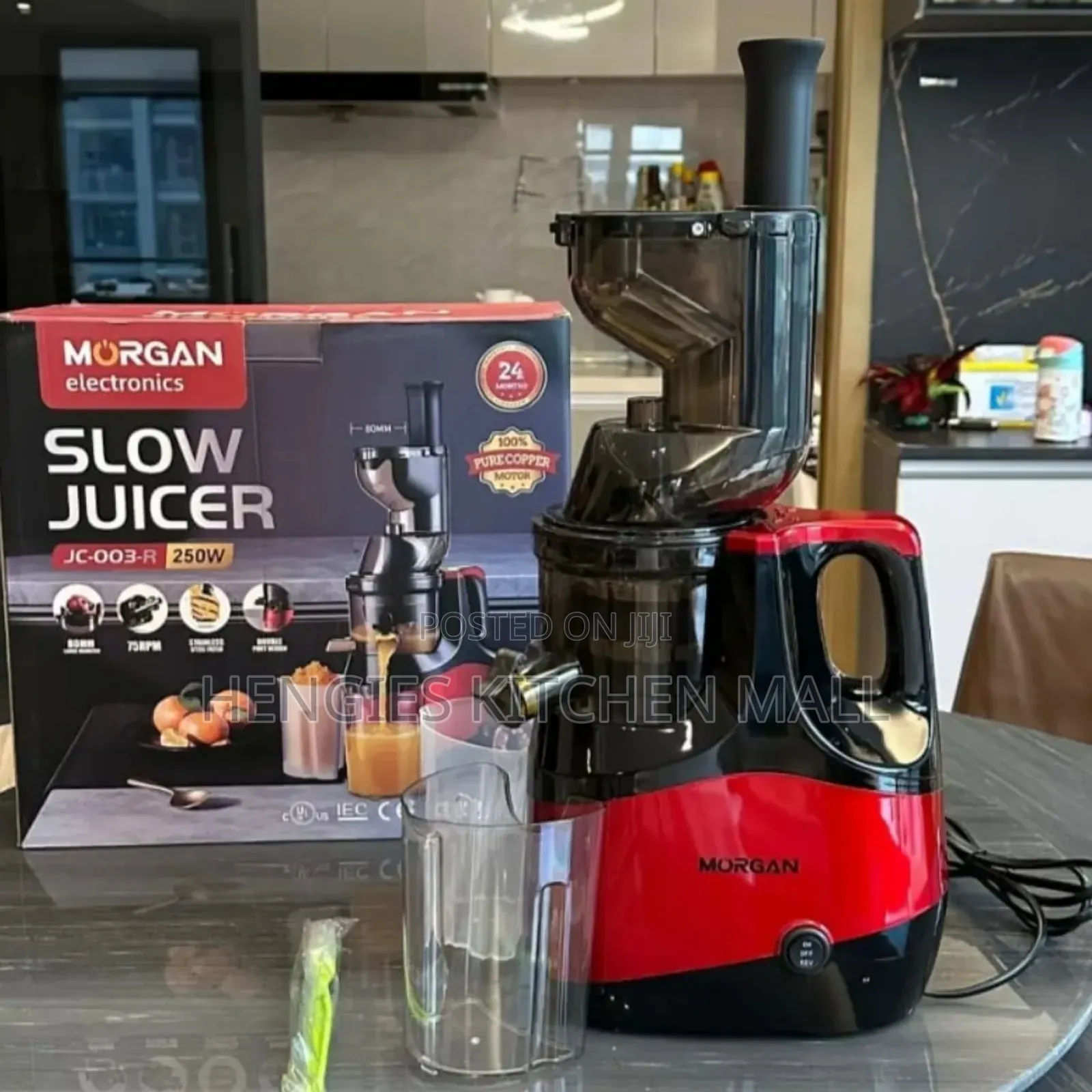 Morgan Electric Slow Juicer