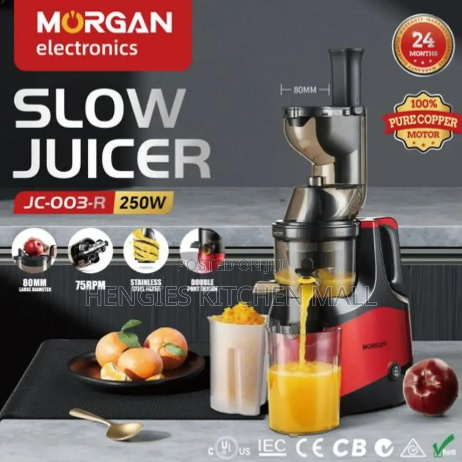Morgan Electric Slow Juicer