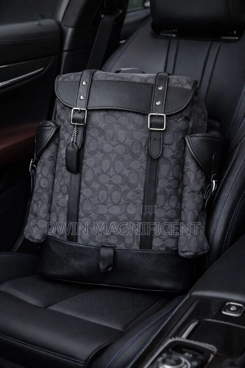 Authentic Coach and Lv Bag-Packs