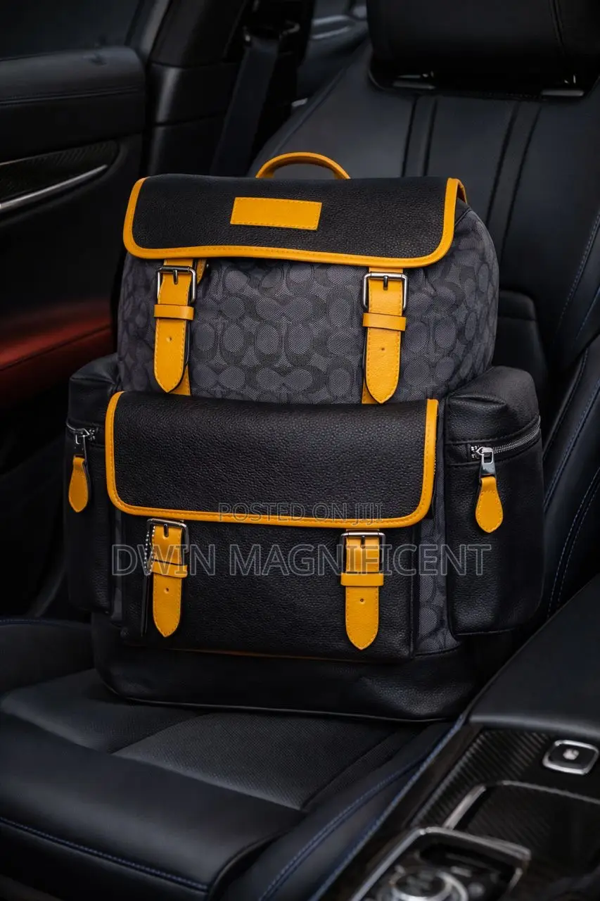 Authentic Coach and Lv Bag-Packs