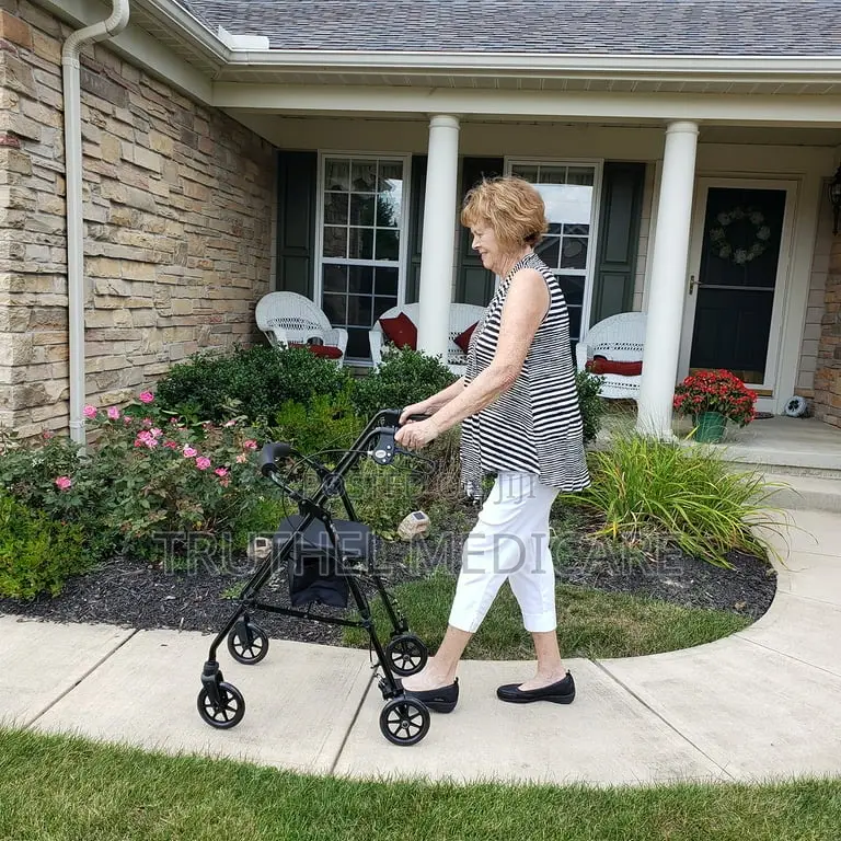 Adult Push Walker (Rollator)