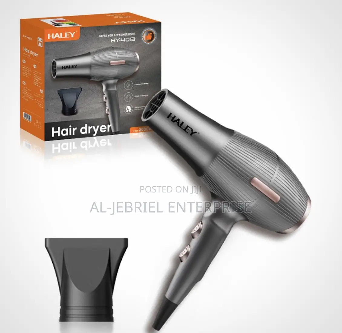 Hair Dryer (Hy-4013)