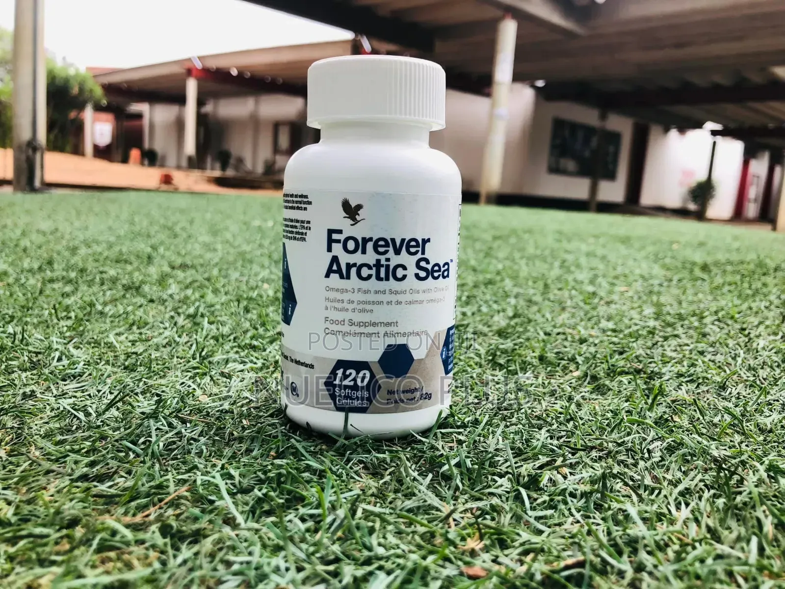 Forever Arctic Sea Omega-3 – Supports Bp Cholesterol Balance