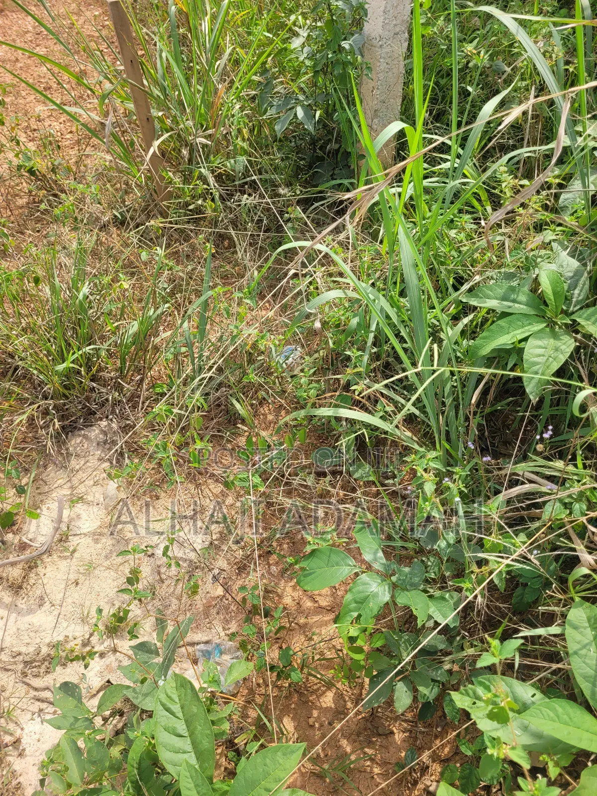 Half Plot for Sale at Santa'si Darko