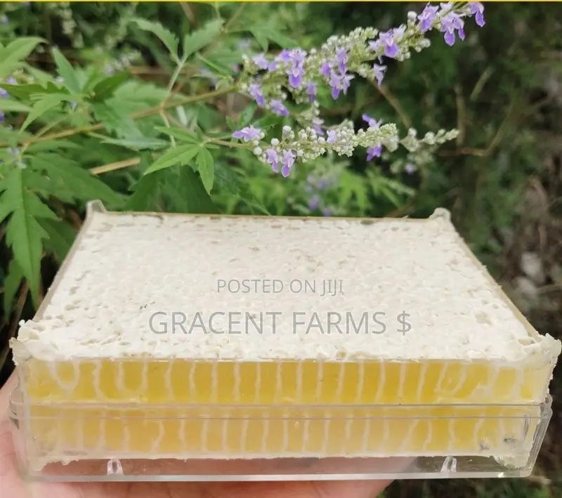 Vitex Flower Fresh Whole Honeycomb Honey - (500g)
