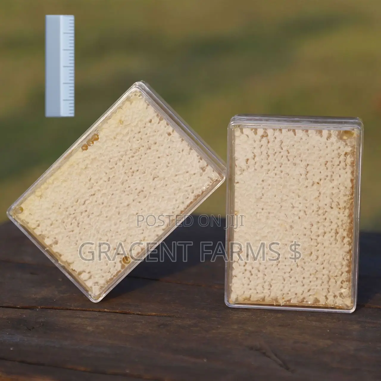 Vitex Flower Fresh Whole Honeycomb Honey - (500g)