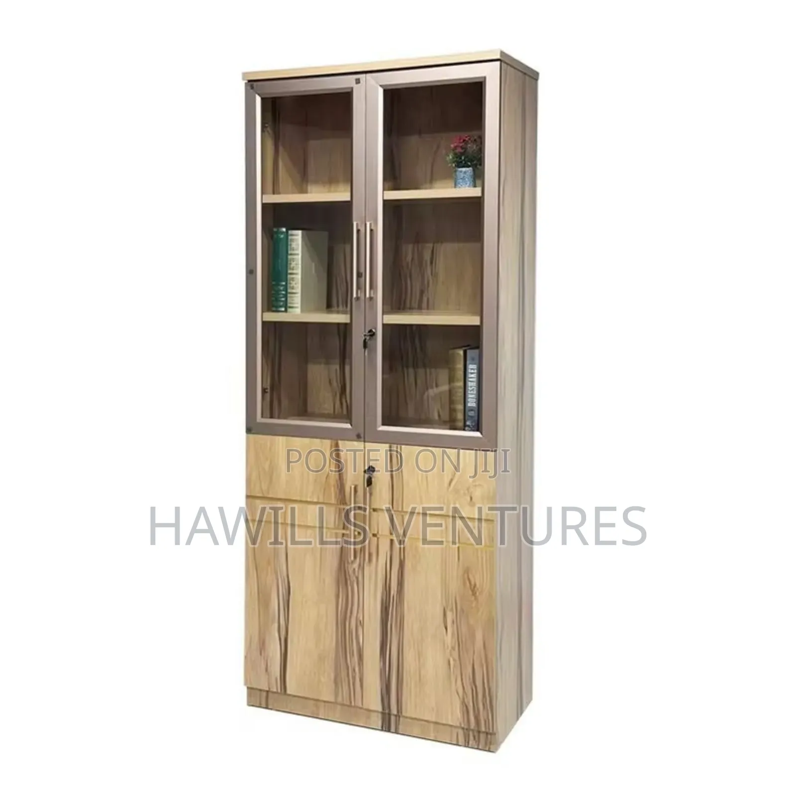 Bookshelf With Glass and Solid Door