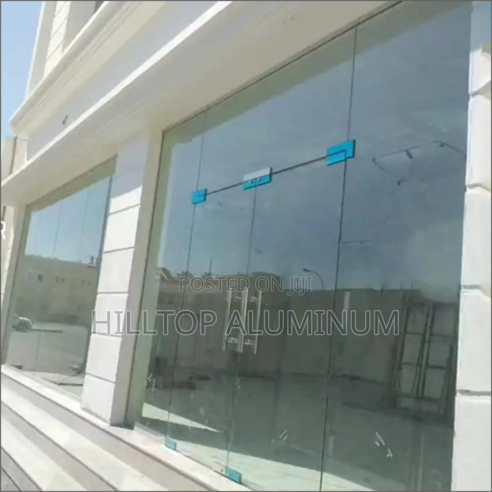 Frameless Double Swing Doorr