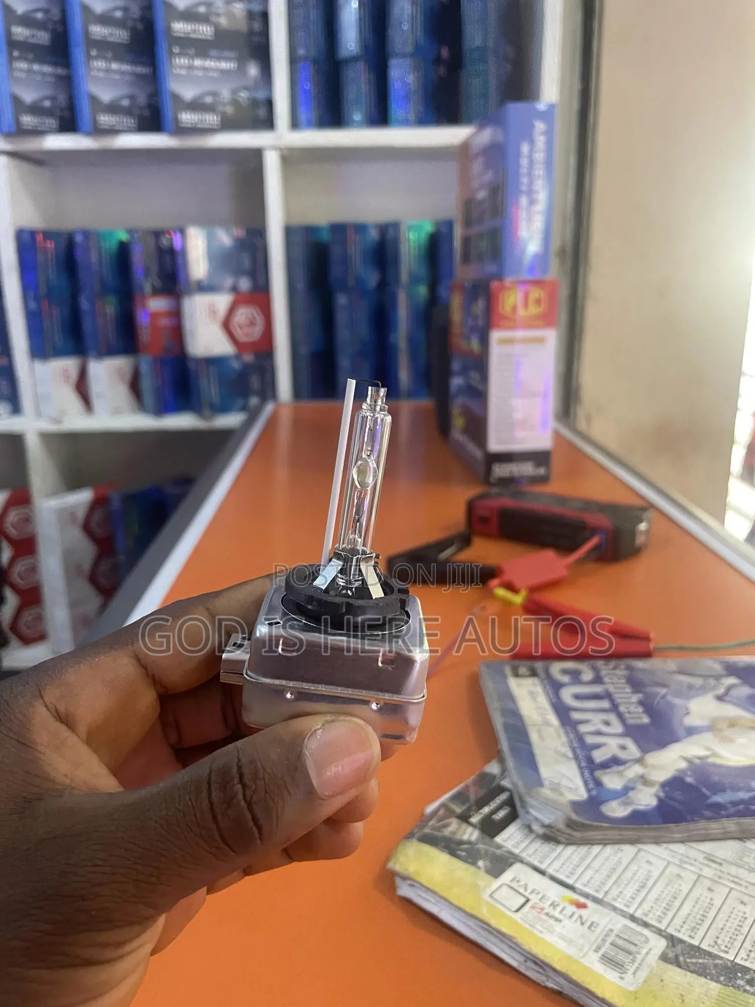 D1s Hid Bulb