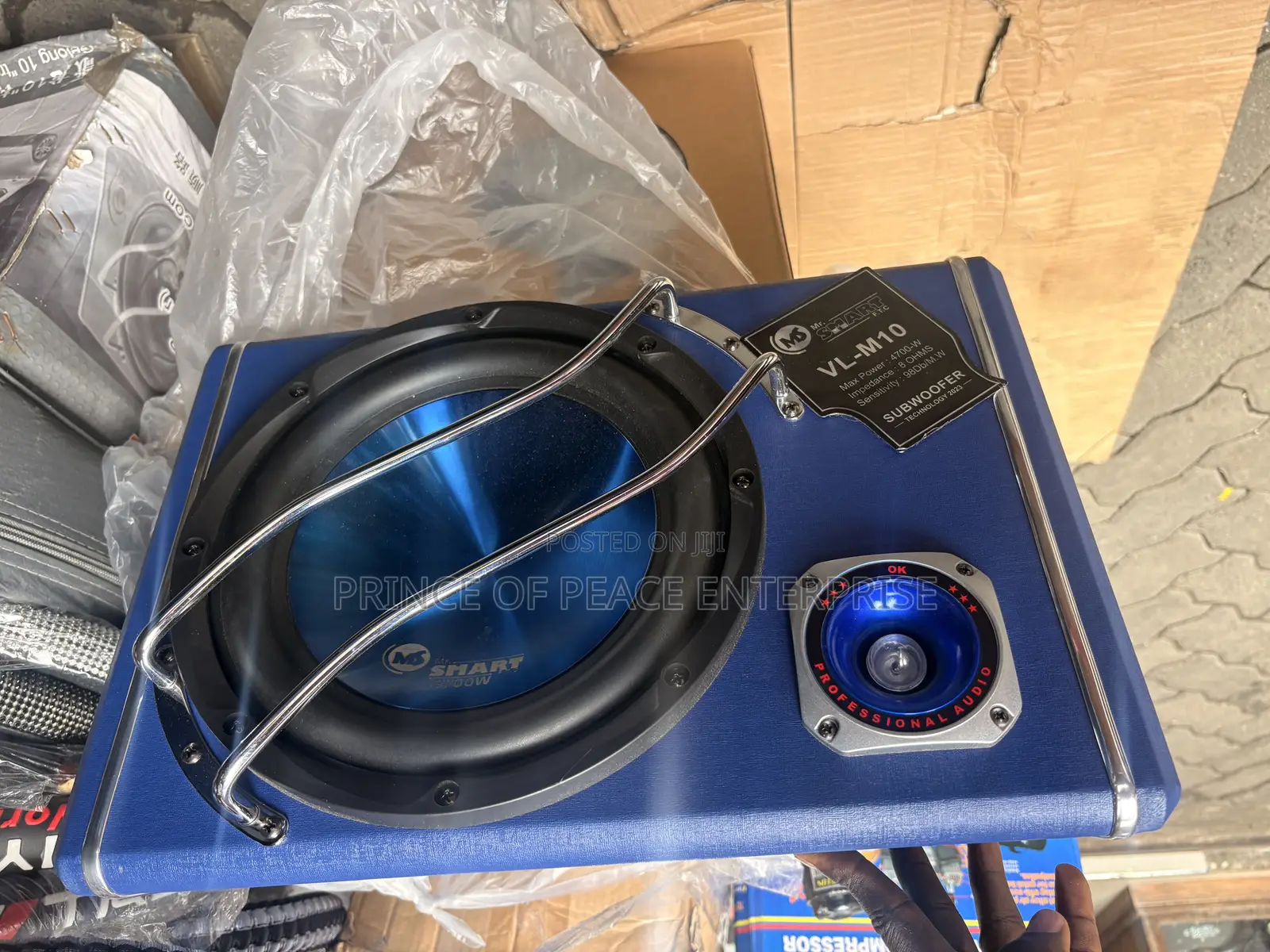 10 Inches Subwoofer or Booster.