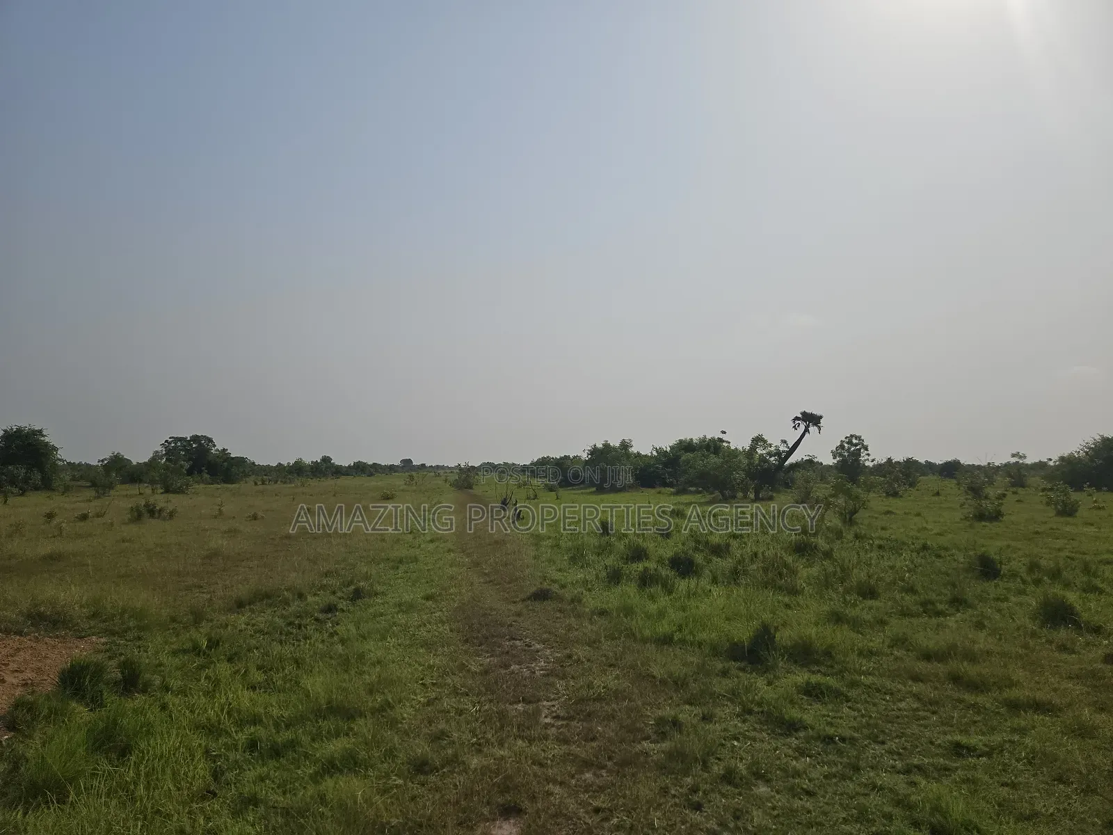 40 Acres of Land for Sale at School Junction