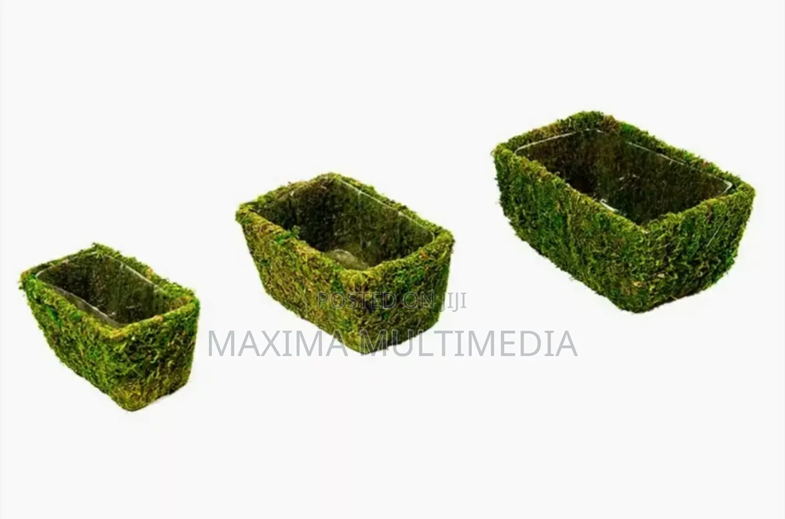 Moss Basket