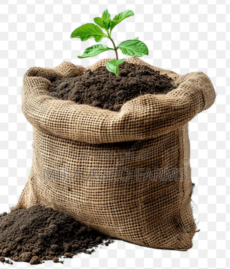 Black \ Loamy Soil
