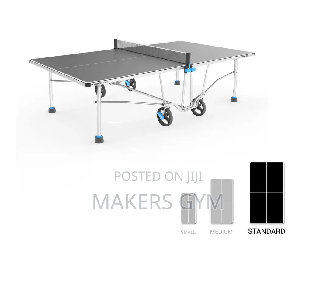 Table Tennis (Profesional)Hybrid