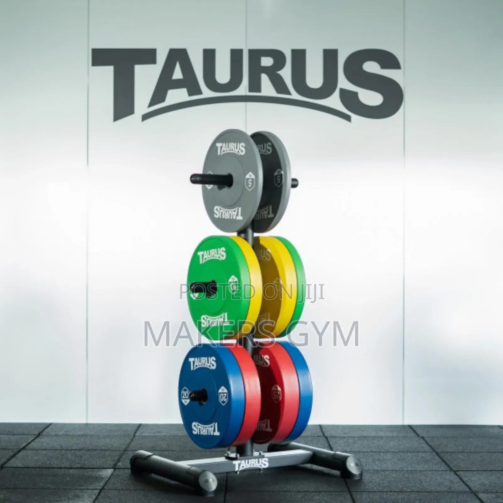 Olympic Weight Plate Rack