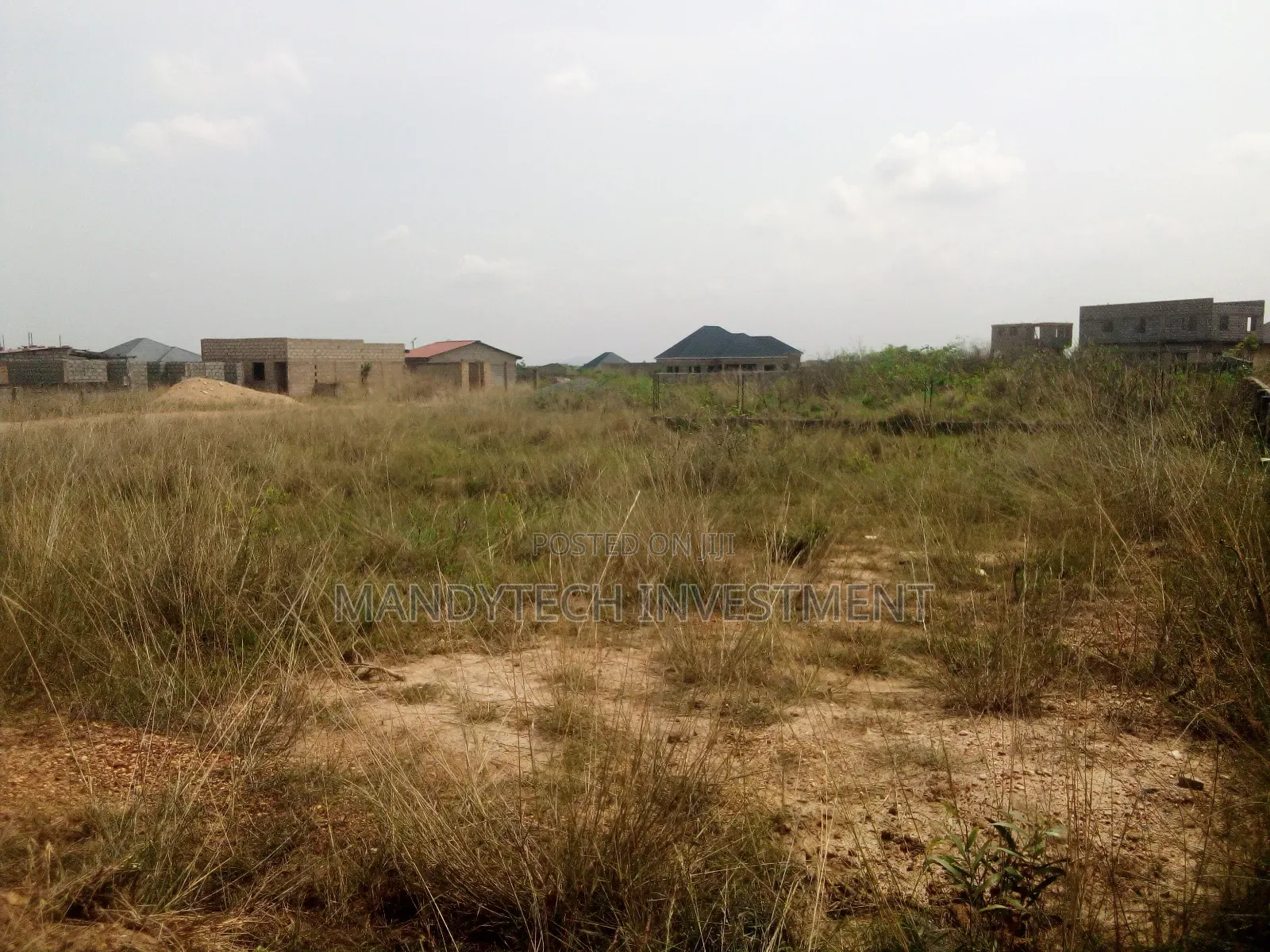 Classic One Plot - Appolonia