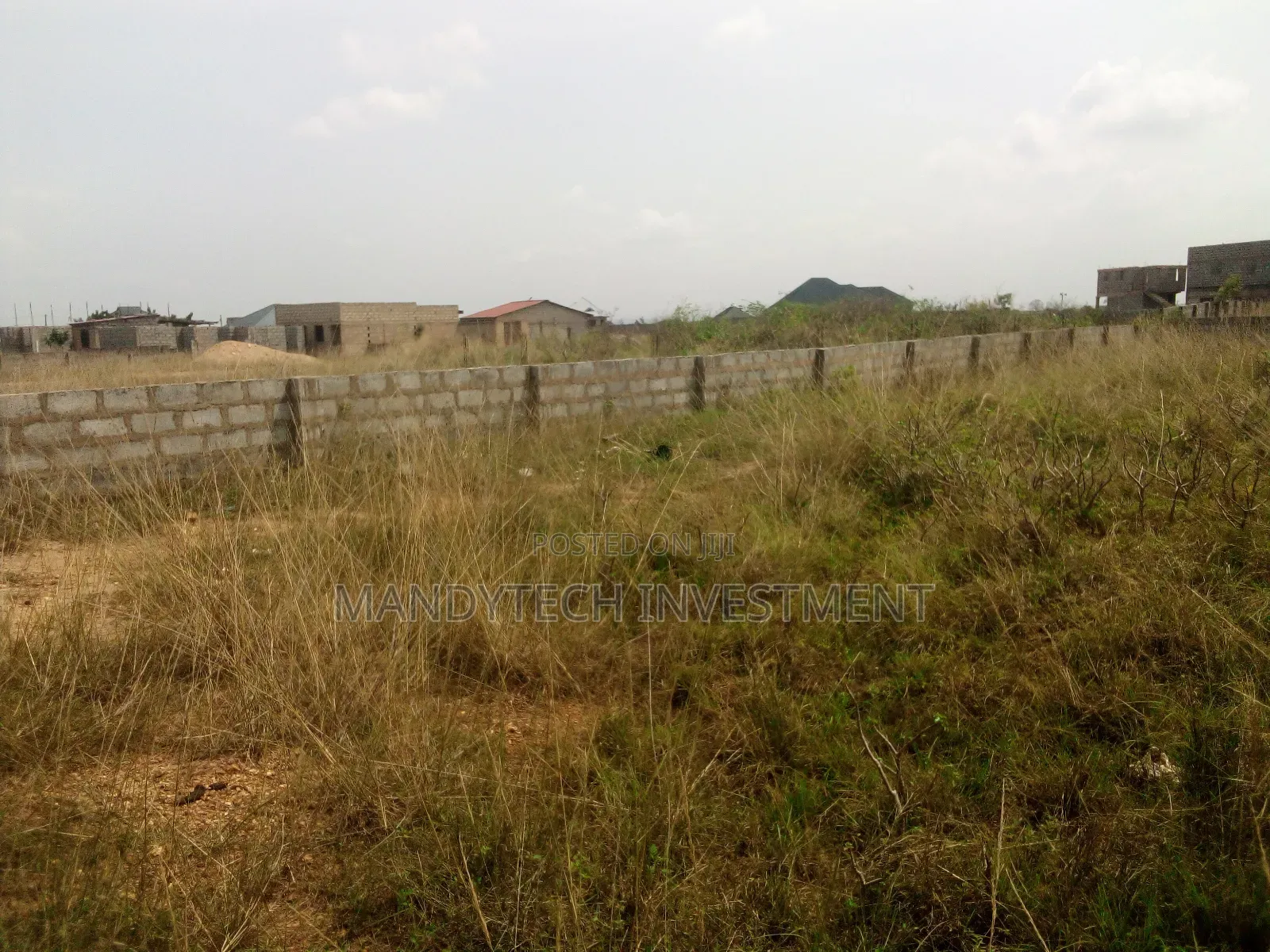 Classic One Plot - Appolonia
