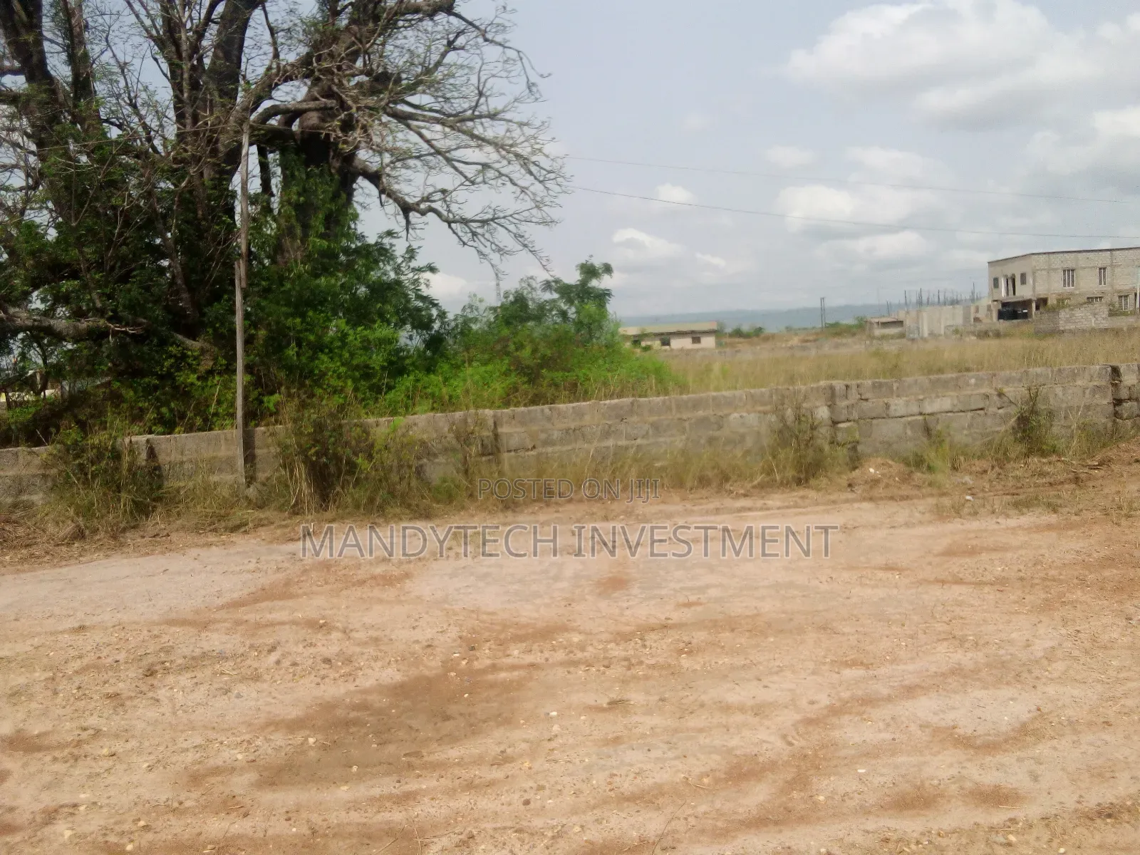 Classic One Plot - Appolonia