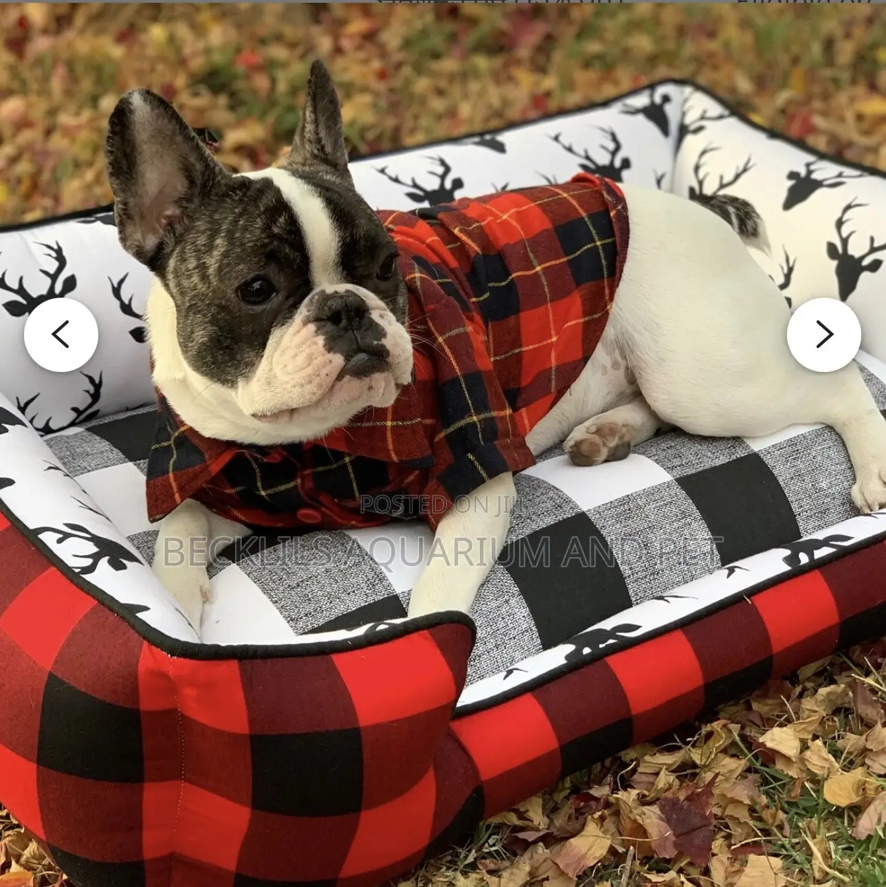 Fluffy Soft Dog Beds With Pillows