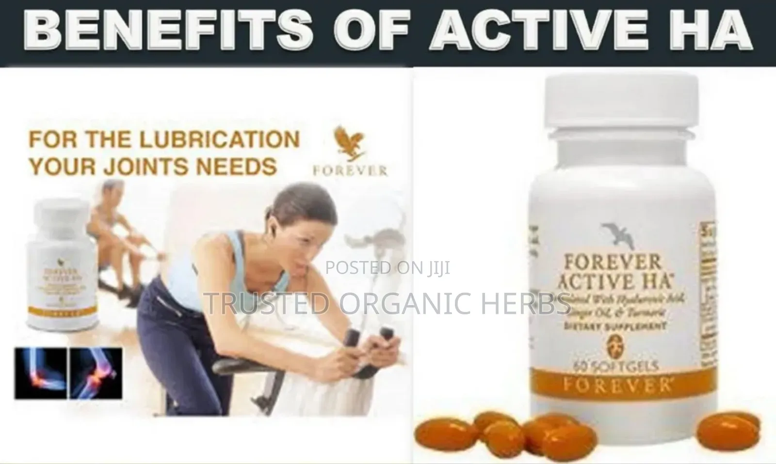 Forever Active Ha