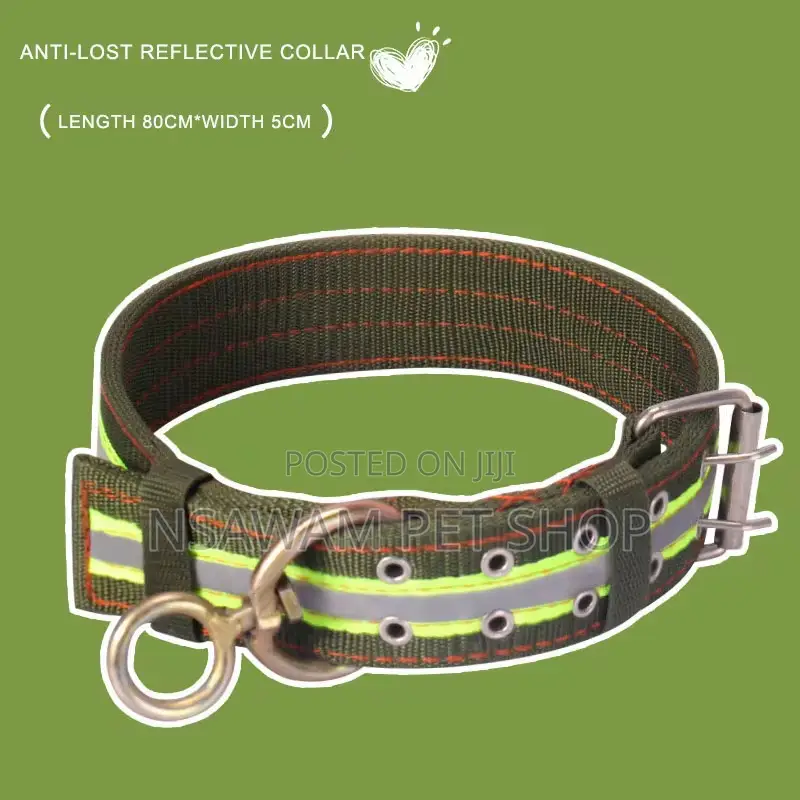 Heavy Duty Nylon Collar With Reflective Strip