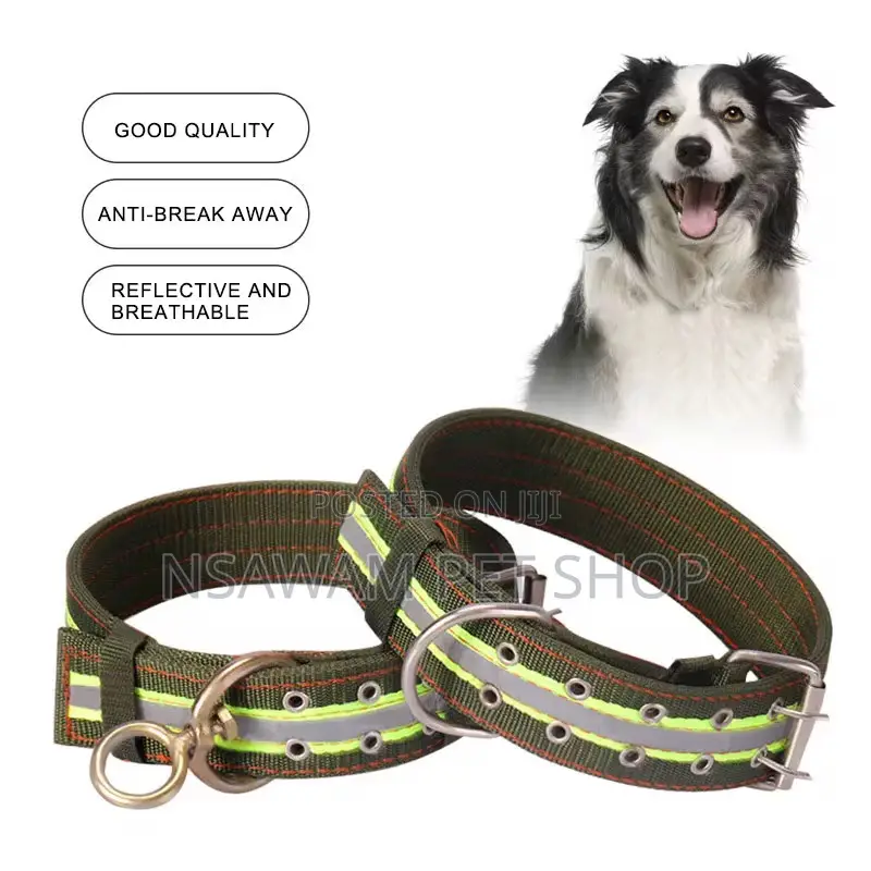 Heavy Duty Nylon Collar With Reflective Strip
