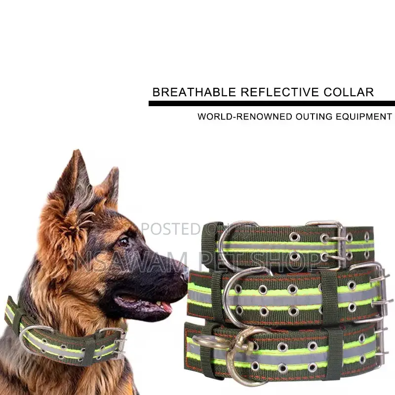 Heavy Duty Nylon Collar With Reflective Strip