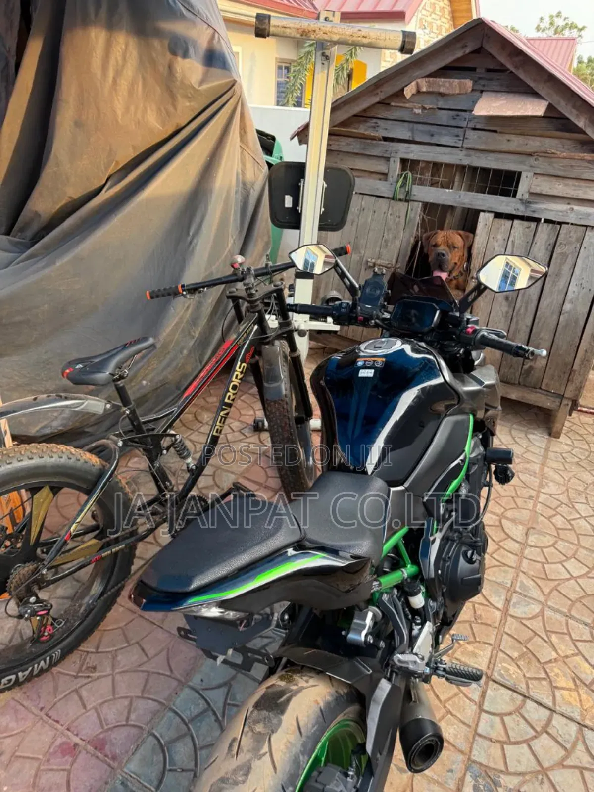 Kawasaki Z900RS 2025 Green