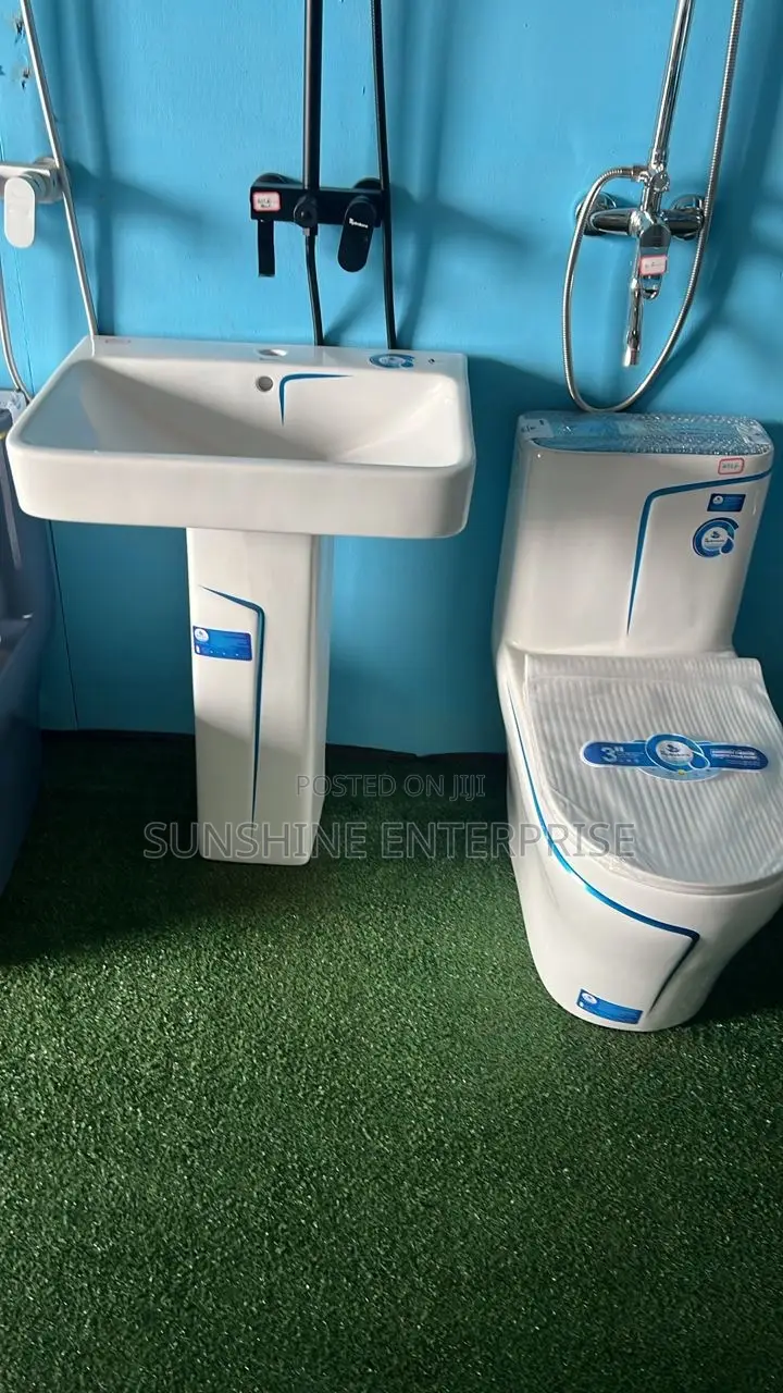 Water Closet And Basin