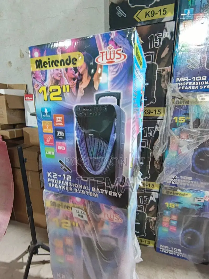 12" 300w Professional Bluetooth Speakers