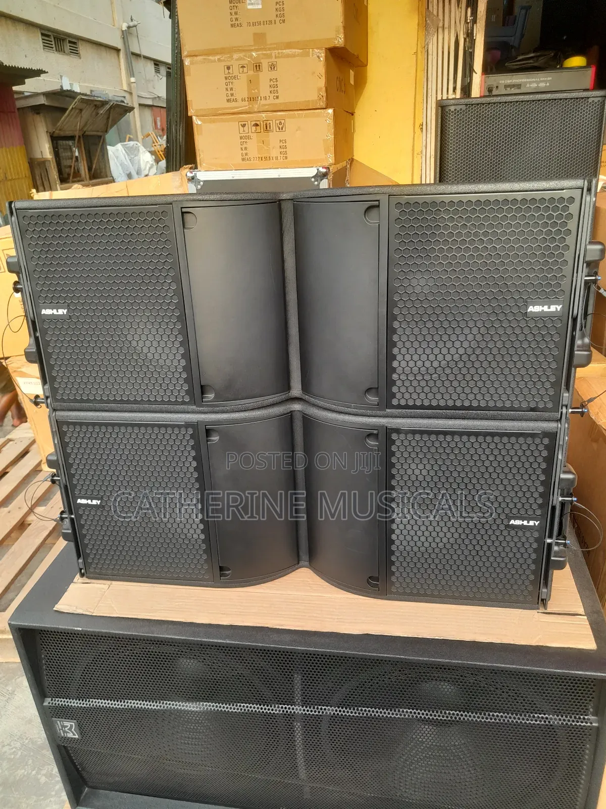 Ashley Line Array Speaker
