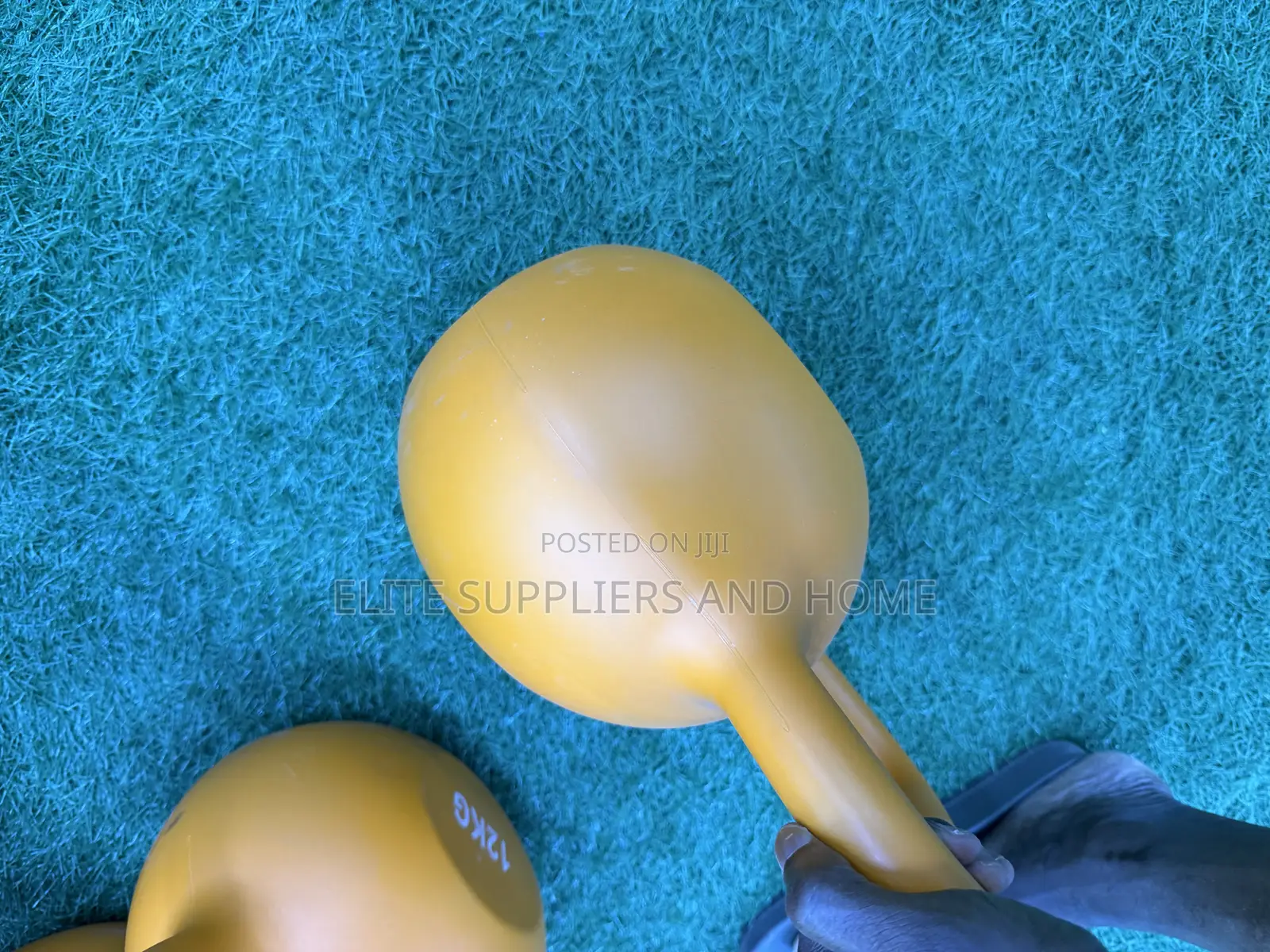 Kettle Bell 12kg Pair (24kg