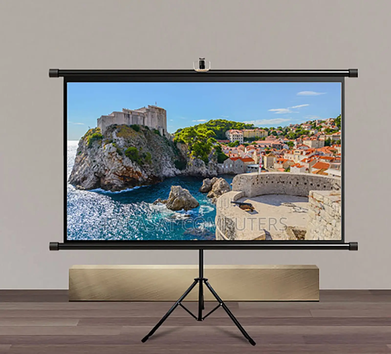 200x200cm Tripod Projector Screen