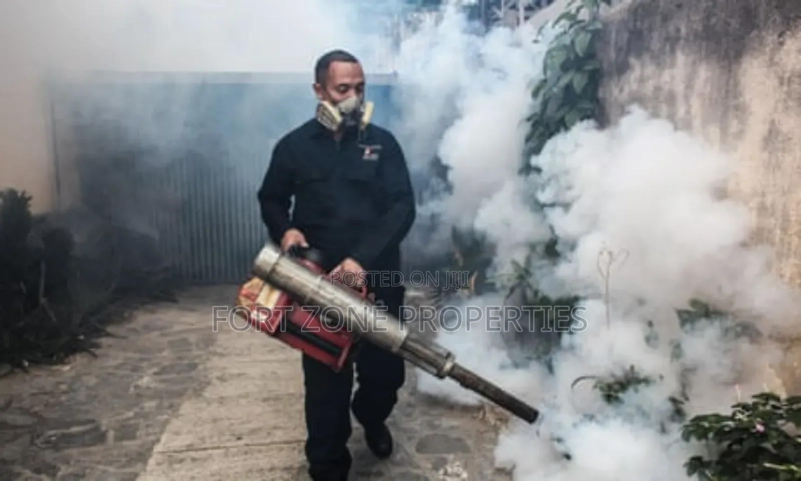 Holine Insects and Reptiles Control for Homes and Factories