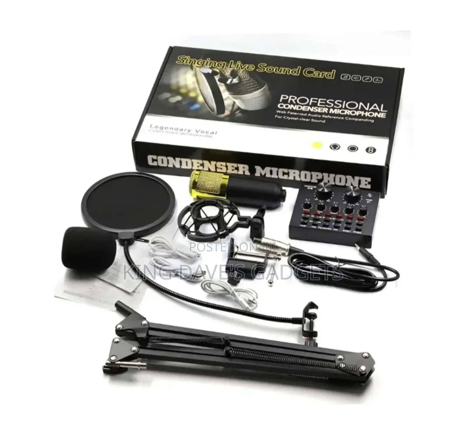 Professional Condenser Microphone Kit