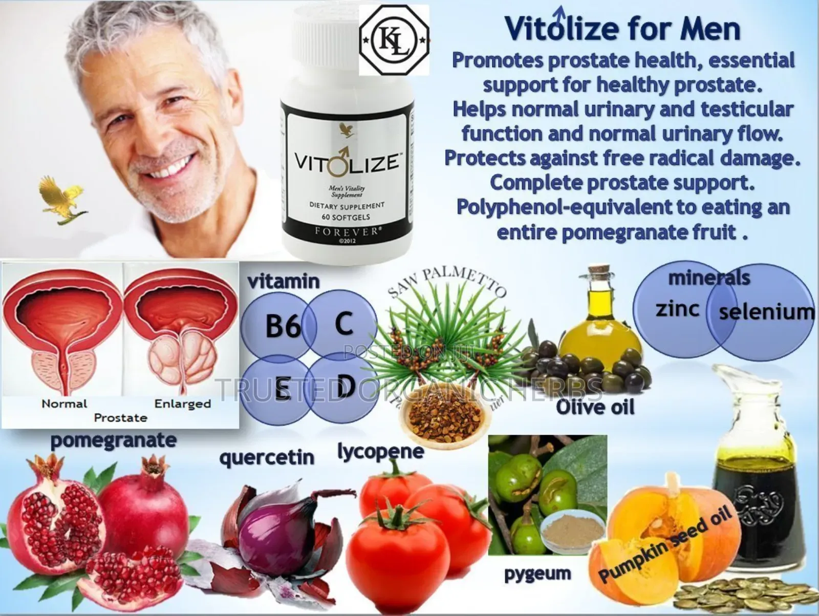 Key Benefits Of Forever Vitolize Men