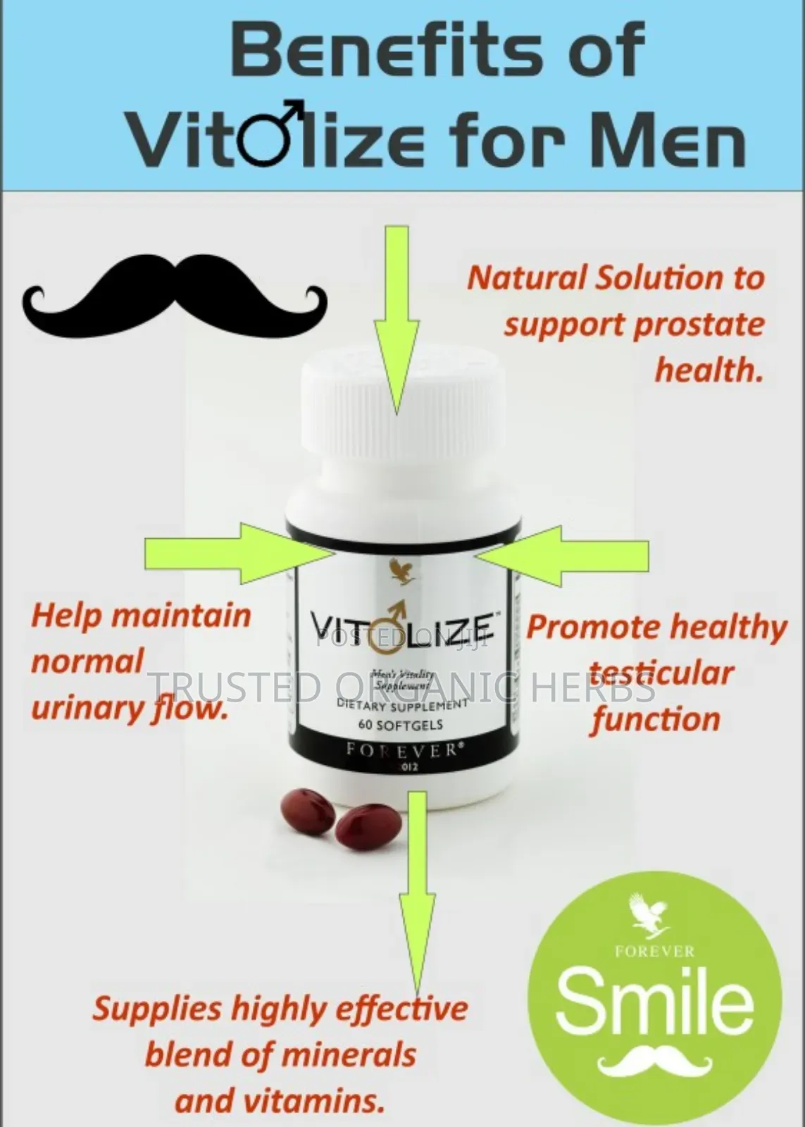 Key Benefits Of Forever Vitolize Men