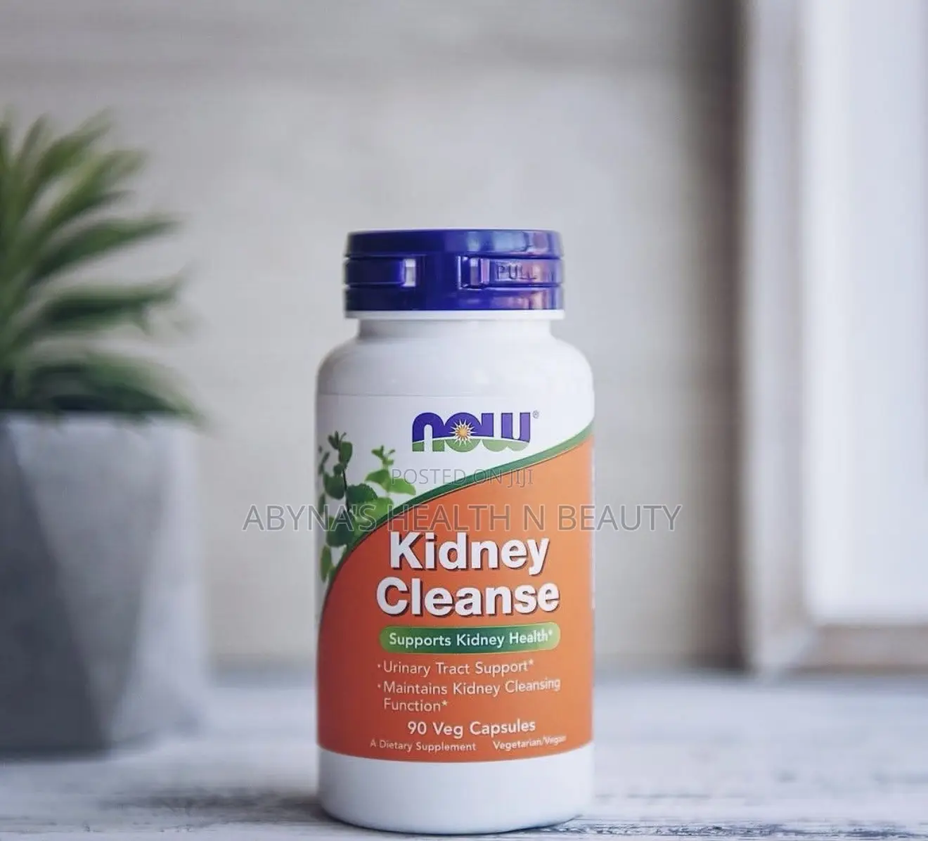 Kidney Cleanse