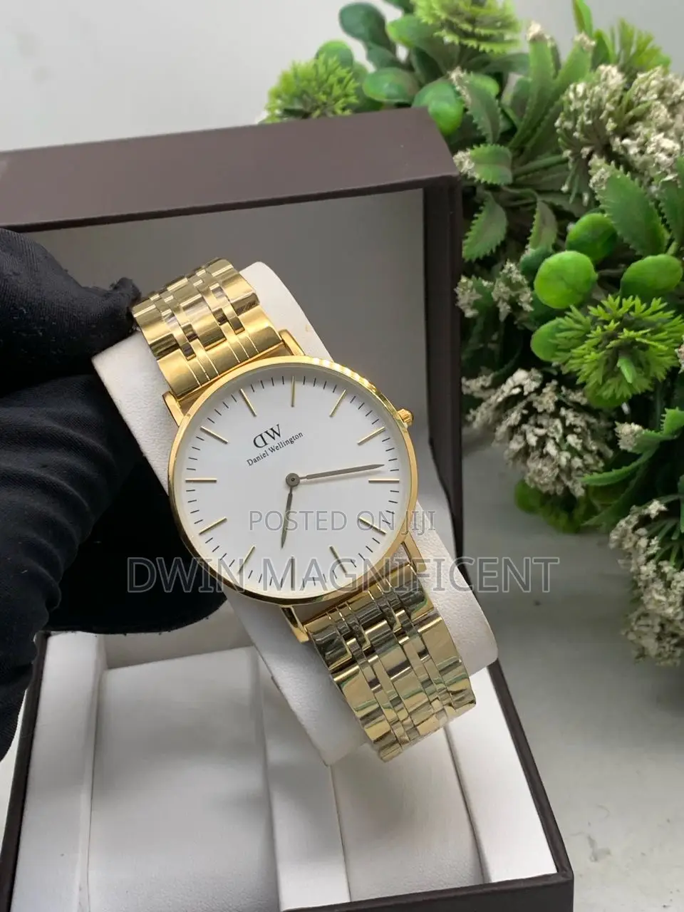 Daniel Wellington Petite 5-Link Watch