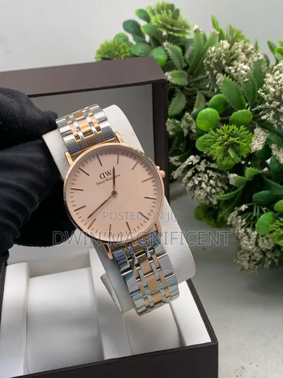 Daniel Wellington Petite 5-Link Watch