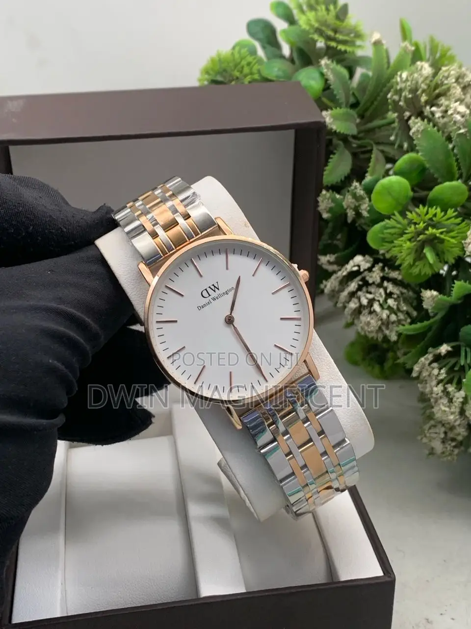 Daniel Wellington Petite 5-Link Watch