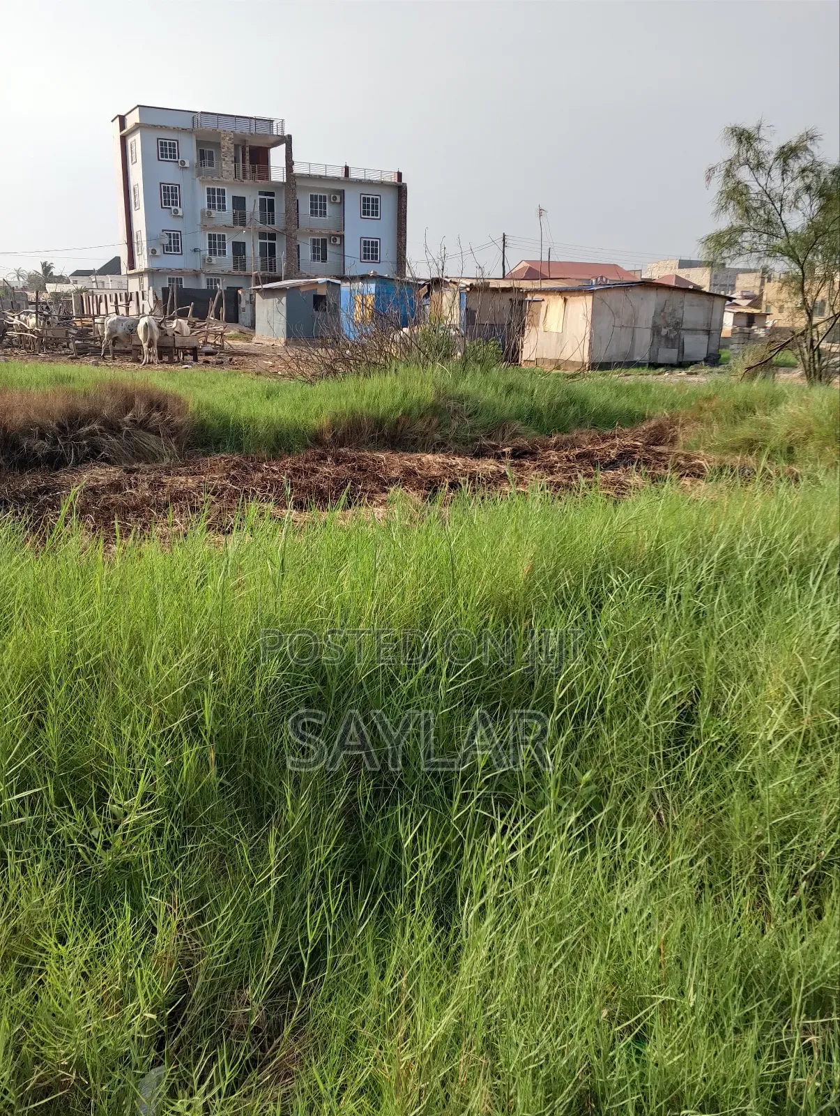 A Special Half Plot Few Meters From the Main Road for Sale Klagon