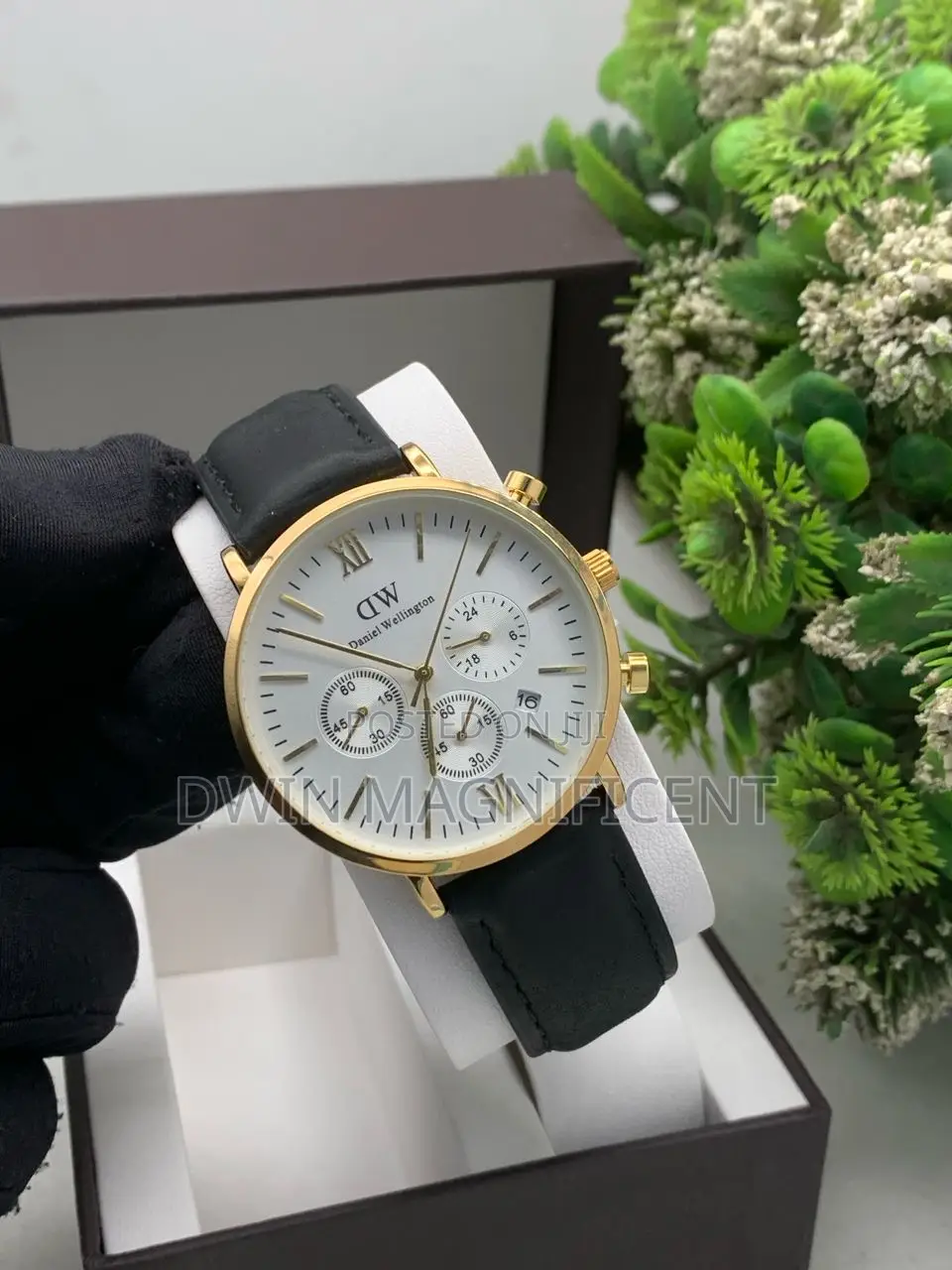 Daniel Wellington Classic B28r01 Chronograph Model
