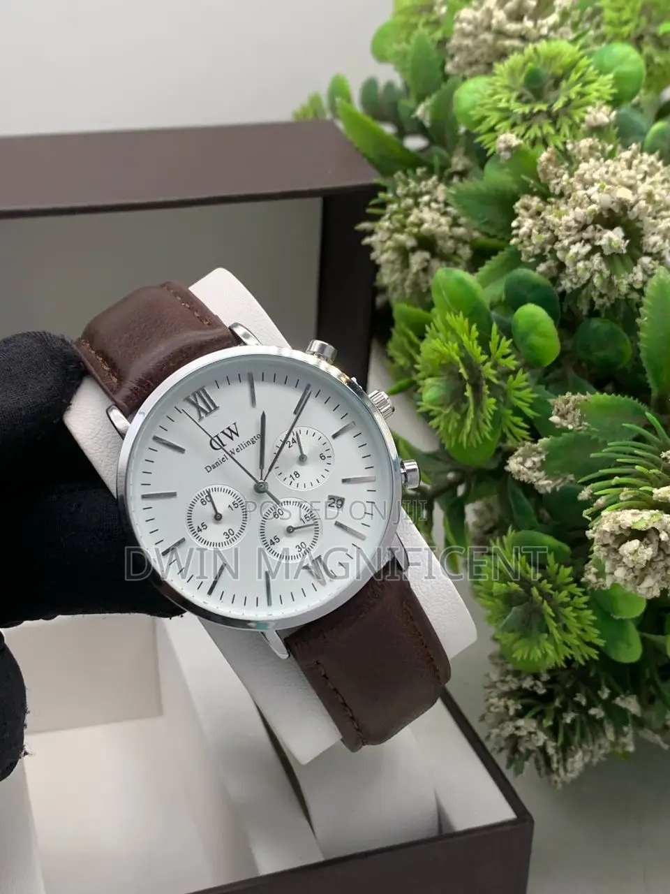 Daniel Wellington Classic B28r01 Chronograph Model