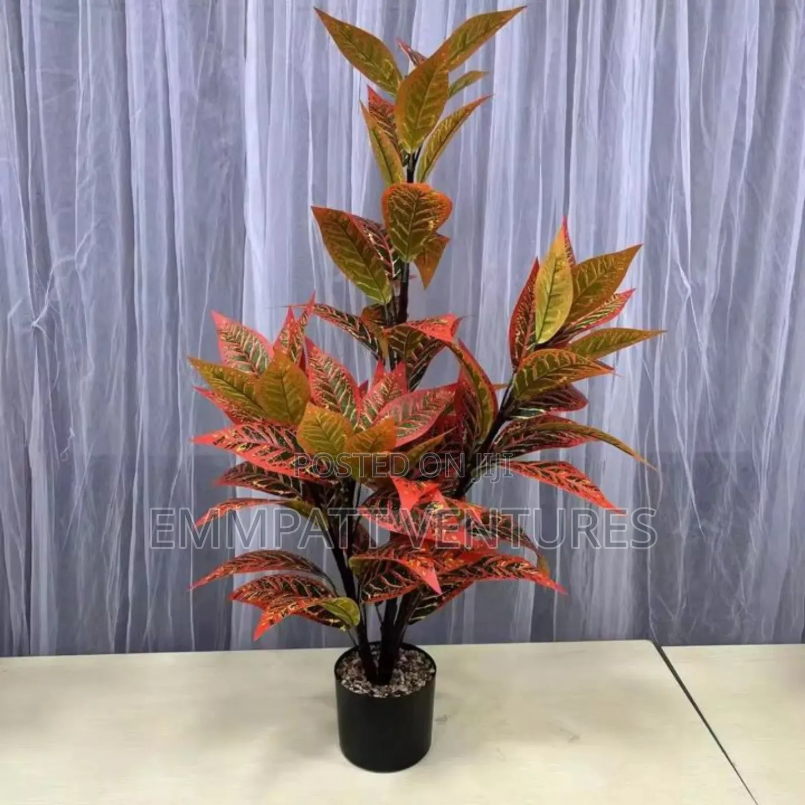 Beautiful Luxurious Flower
