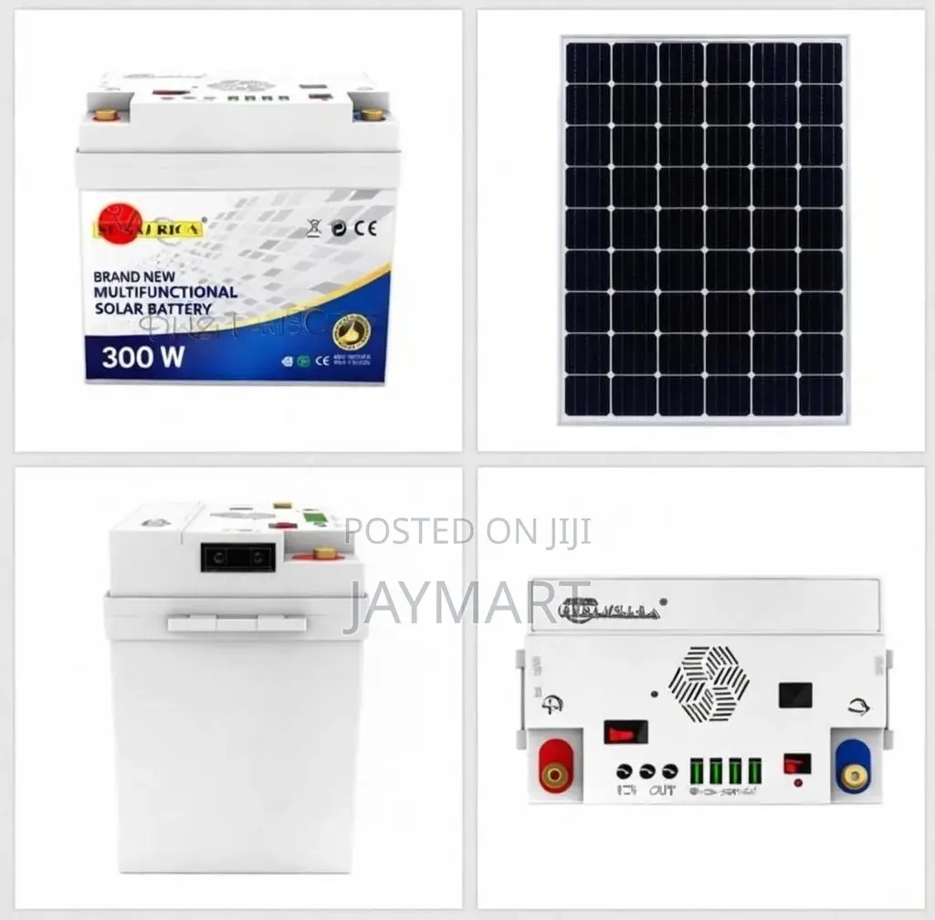 300w Solar Power Station With Panel