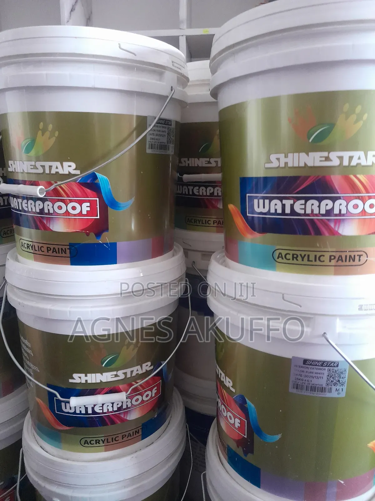 Shinestar Waterproof Acrylic Paint