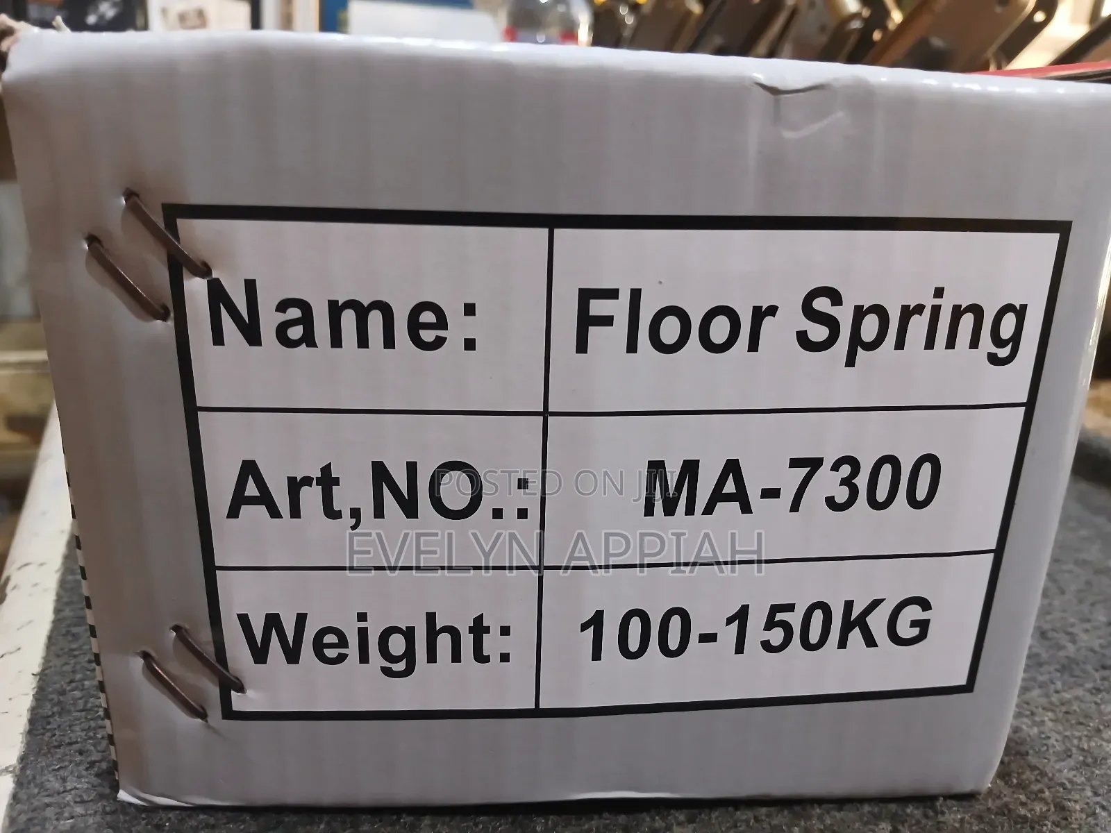 Floor Spring Pivot Hinges (100-150kg )
