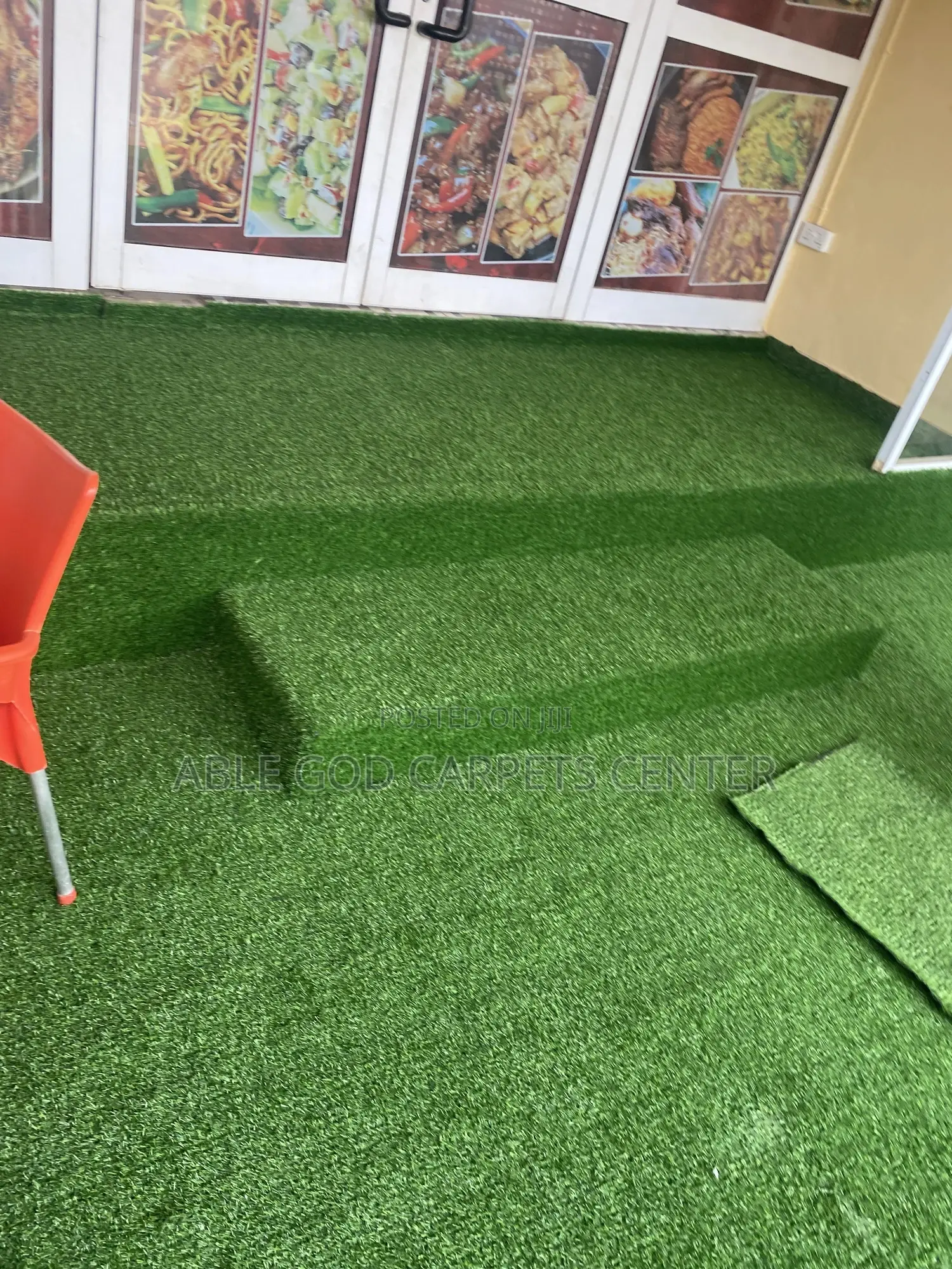 Indoor and Outdoor Grass Carpet / Indoor and Outdoor Astroturf