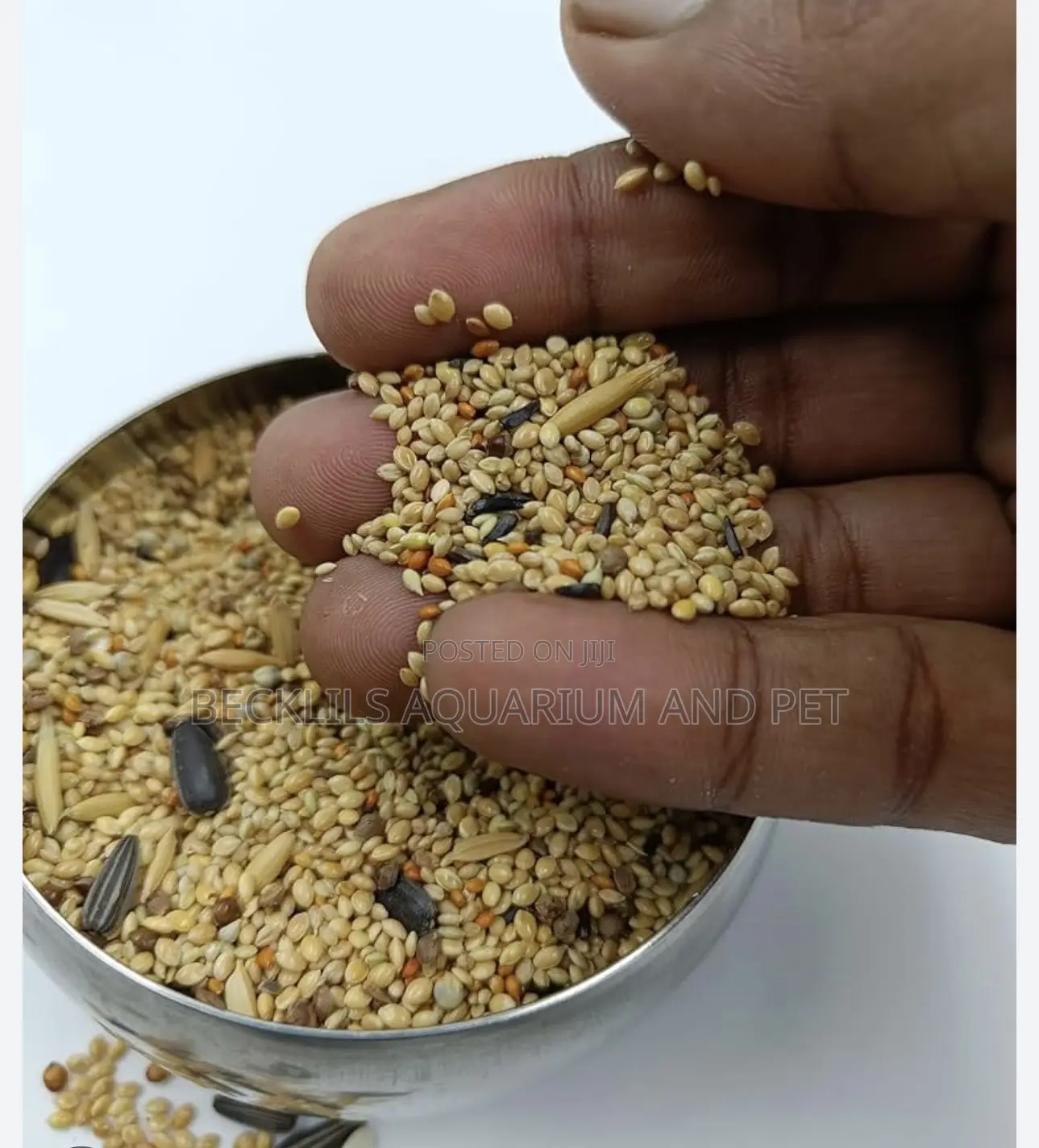 Small Bird Food (500g)